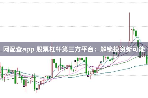网配查app 股票杠杆第三方平台：解锁投资新可能