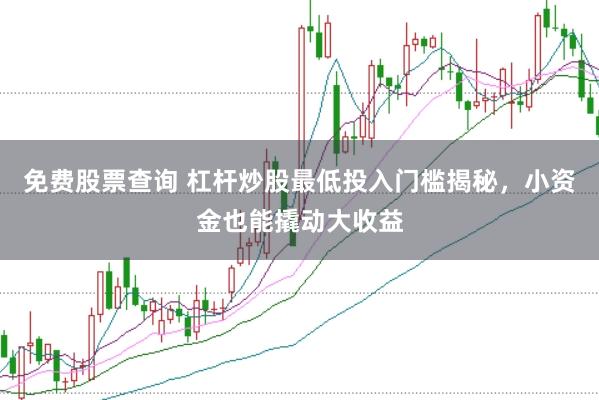 免费股票查询 杠杆炒股最低投入门槛揭秘，小资金也能撬动大收益