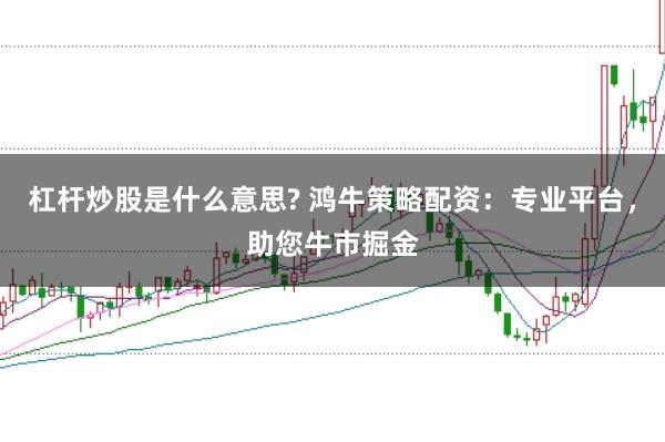 杠杆炒股是什么意思? 鸿牛策略配资：专业平台，助您牛市掘金