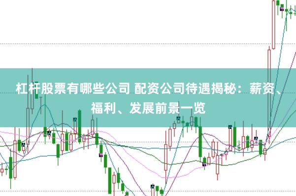 杠杆股票有哪些公司 配资公司待遇揭秘：薪资、福利、发展前景一览