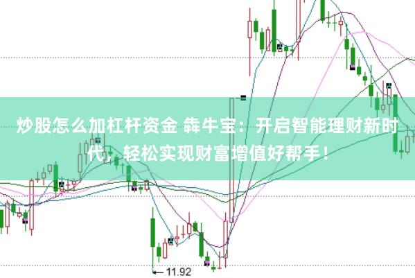 炒股怎么加杠杆资金 犇牛宝：开启智能理财新时代，轻松实现财富增值好帮手！
