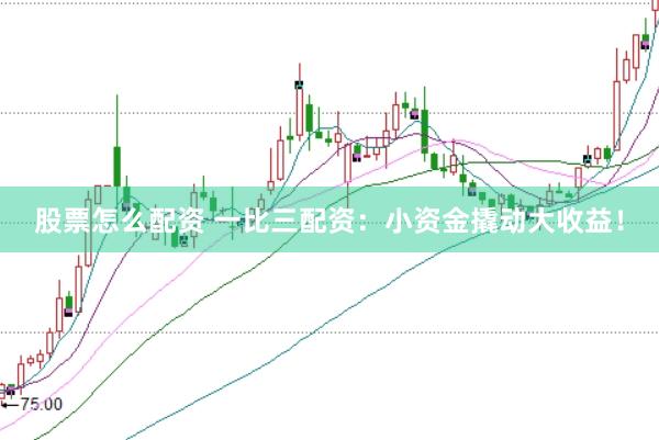 股票怎么配资 一比三配资：小资金撬动大收益！