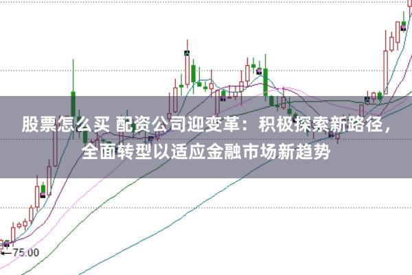 股票怎么买 配资公司迎变革：积极探索新路径，全面转型以适应金融市场新趋势