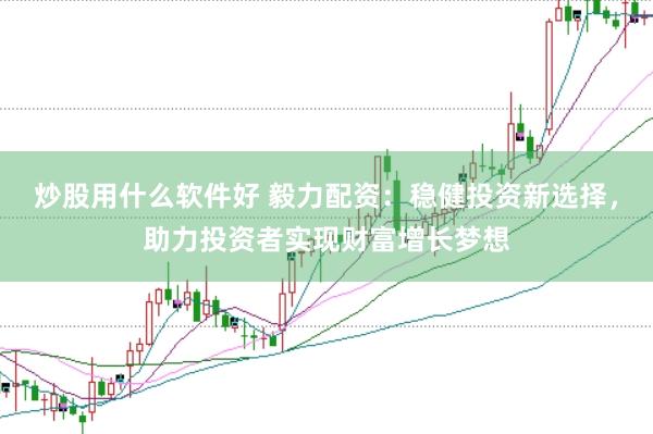 炒股用什么软件好 毅力配资：稳健投资新选择，助力投资者实现财富增长梦想