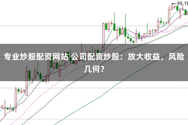 专业炒股配资网站 公司配资炒股：放大收益，风险几何？