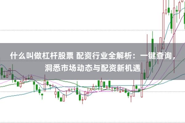 什么叫做杠杆股票 配资行业全解析：一键查询，洞悉市场动态与配资新机遇