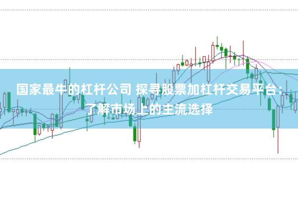 国家最牛的杠杆公司 探寻股票加杠杆交易平台：了解市场上的主流选择