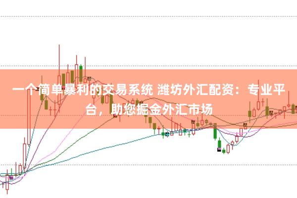 一个简单暴利的交易系统 潍坊外汇配资：专业平台，助您掘金外汇市场
