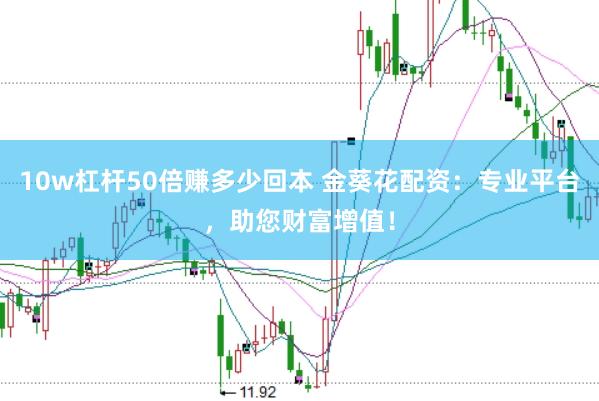10w杠杆50倍赚多少回本 金葵花配资：专业平台，助您财富增值！