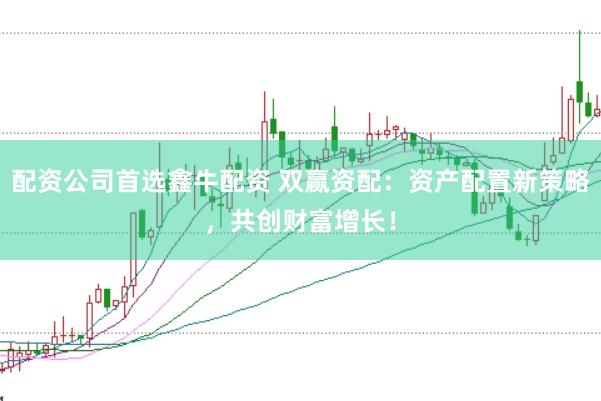 配资公司首选鑫牛配资 双赢资配：资产配置新策略，共创财富增长！