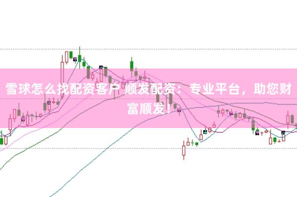 雪球怎么找配资客户 顺发配资：专业平台，助您财富顺发！