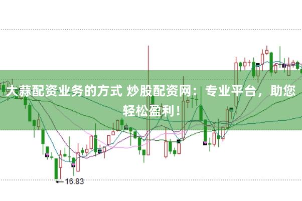 大蒜配资业务的方式 炒股配资网：专业平台，助您轻松盈利！