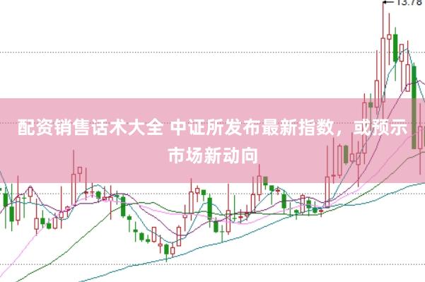 配资销售话术大全 中证所发布最新指数，或预示市场新动向