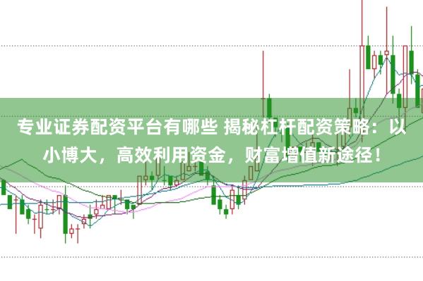 专业证券配资平台有哪些 揭秘杠杆配资策略：以小博大，高效利用资金，财富增值新途径！
