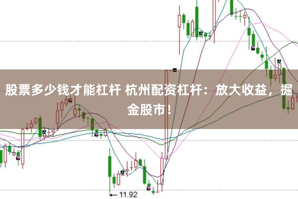 股票多少钱才能杠杆 杭州配资杠杆:放大收益,掘金股市!