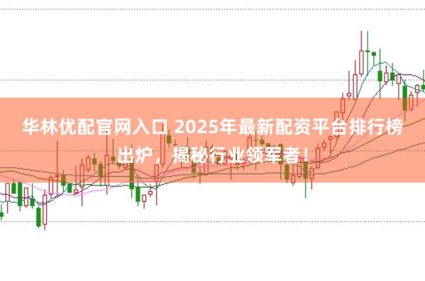 华林优配官网入口 2025年最新配资平台排行榜出炉，揭秘行业领军者！