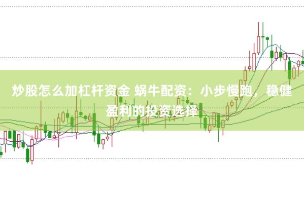 炒股怎么加杠杆资金 蜗牛配资：小步慢跑，稳健盈利的投资选择