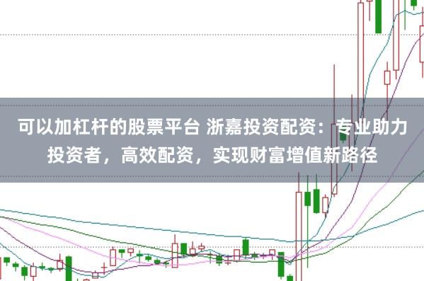 可以加杠杆的股票平台 浙嘉投资配资:专业助力投资者,高效配资,实现财富增值新路径