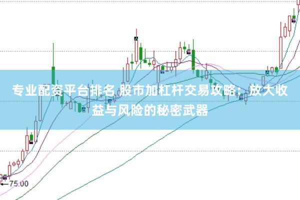 专业配资平台排名 股市加杠杆交易攻略:放大收益与风险的秘密武器