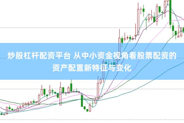 炒股杠杆配资平台 从中小资金视角看股票配资的资产配置新特征与变化